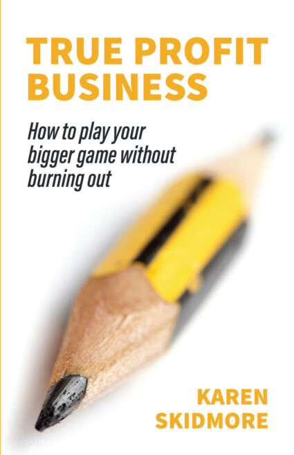 Book cover for True Profit Business