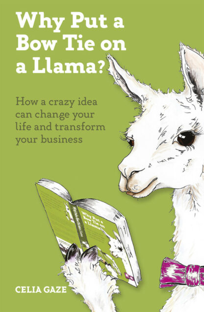Book cover for Why Put a Bow Tie on a Llama?