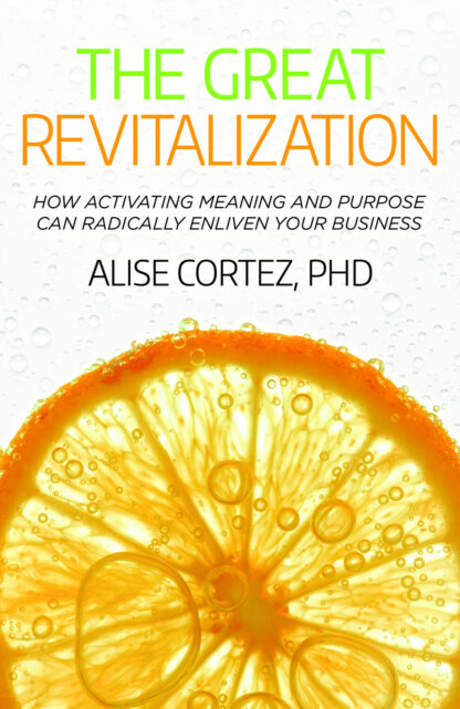 Book cover for The Great Revitalization
