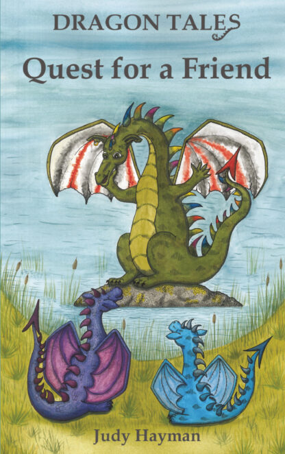 Book cover for Quest for a Friend