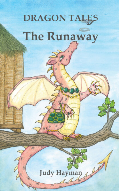 Book cover for The Runaway