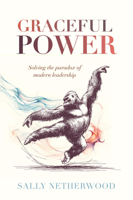 Book cover for Graceful Power