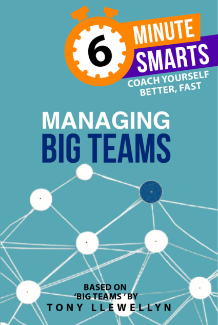 Book cover for Managing Big Teams