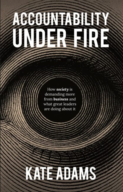 Book cover for Accountability Under Fire